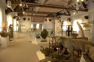 Das Museum im Ritterhaus