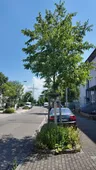 Quelle: Stadt