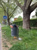 Quelle: Niedick