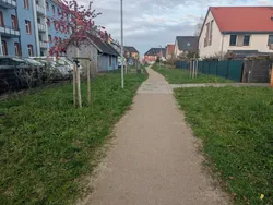 Quelle: Stadt Offenburg