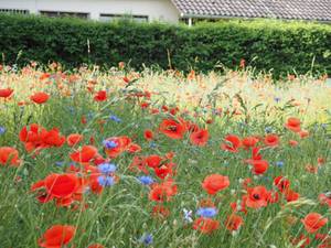 Quelle: Foto: Birk